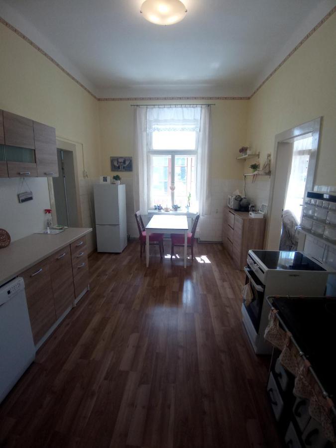 Apartman Pod Rozhlednou 拉贝河畔罗乌德尼采 外观 照片